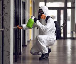 Why You Should Choose Our Mold Remediation Services in Belton, TX